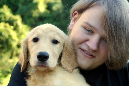 Teen Boy And Golden Puppy 2の写真素材