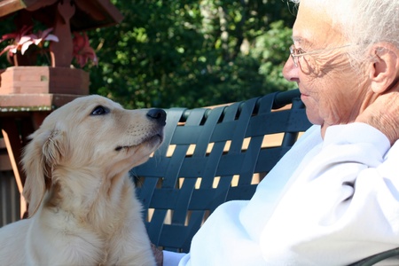 Unconditional Loveの写真素材