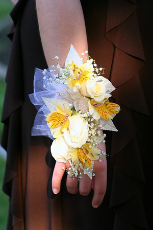 Corsage Vertical Viewの写真素材