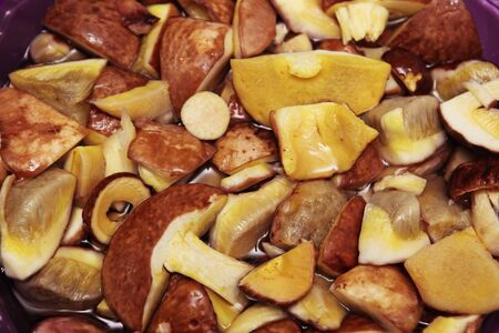 cepes canned slices for picklingの写真素材