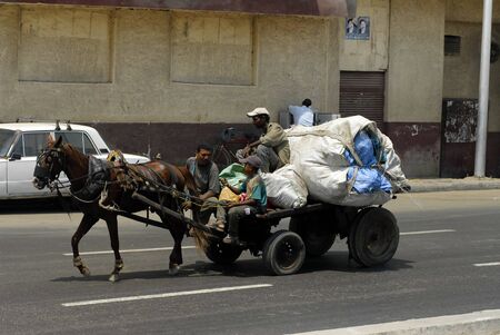 CAIRO, EGYPT - AUGUST 3: Men transport garbage in the cart which is pulled by a horse on August 3, 2006 in Cairo.のeditorial素材