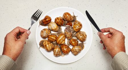 Seafood on white plate for cooking and hands of chefの写真素材