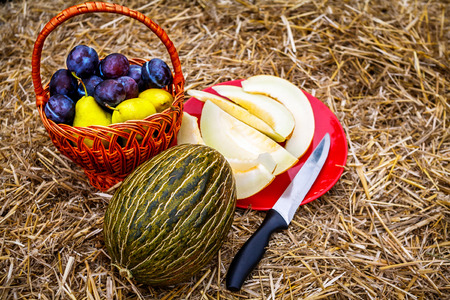 A wicker basket with ripe yellow pears and blue plums lies on the straw next to the red plate and on it are pieces of sliced yellow melon. On the plate lies a knife with a black handle.の写真素材