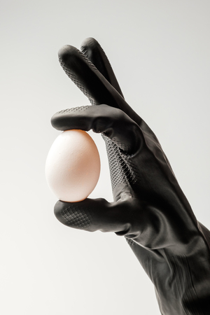 A gloved hand holds a single white chicken egg on white background.の写真素材