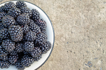 Many big ripe blackberries in white metal bowl on concrete background