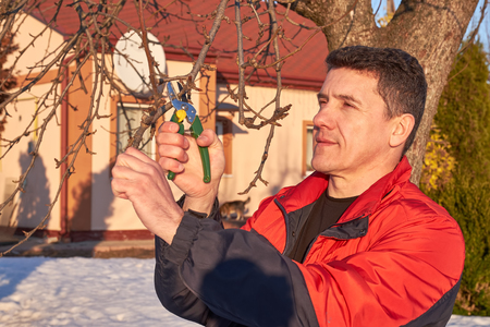 Senior man with shears in hand pruning tree branches in early springの写真素材
