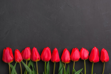 Bouquet of red tulips in the row on black background with copy space for text. Festive greeting card conceptの写真素材