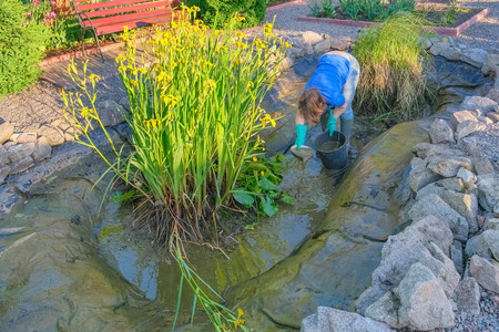 artificial garden pond from slime and water plants.の写真素材