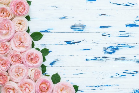 Flowers composition. pink roses on aged white wooden background.の写真素材