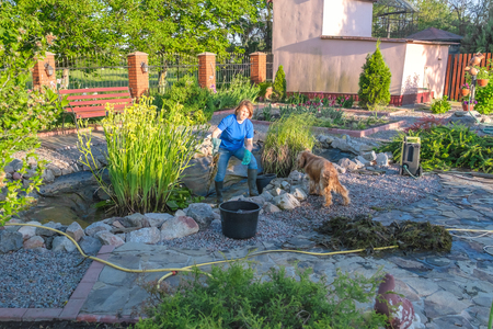 white middle aged  woman and her dog cleans a garden pond from slime and water plants. Spring and summer seasonal pond care workの写真素材