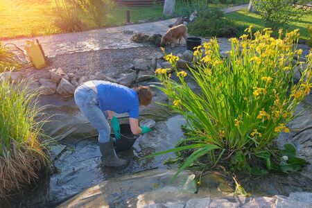 white middle-aged woman cleans a artificial fish pond from slime and water plants. Spring and summer seasonal pond care workの写真素材