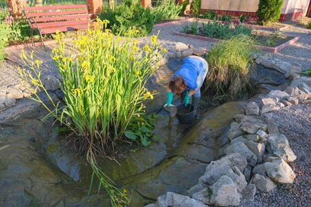 white middle-aged woman cleans a artificial fish pond from slime and water plants. Spring and summer seasonal pond care workの写真素材