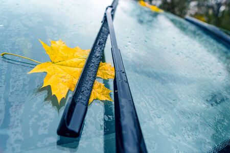 Yellow maple leaf under car wiper on windshield. Toned imageの写真素材