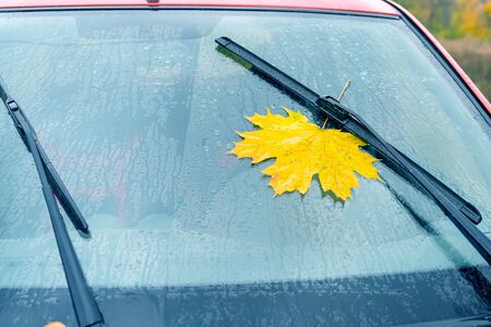 Yellow maple leaf under car wiper on windshield. Bad autumn weather. Toned imageの写真素材