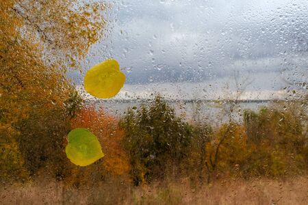 two leaves on the wet glass with drops after rain against rural backgroundの写真素材
