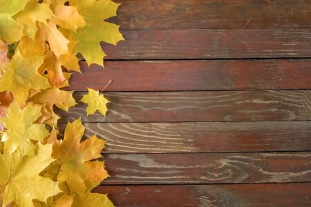 yellow and orange autumn leaves on aged wooden background. Top viewの写真素材