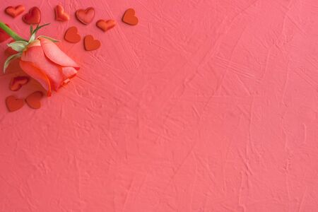 Festive composition from red rose and hearts scattered on pink background, valentines day concept, copy space for text, flatlayの写真素材