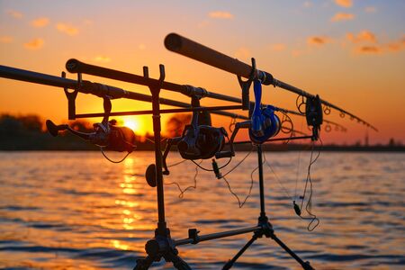 Three angling rods with spinning reels on pod stands. Fresh water lake at sunset, selective focusの写真素材