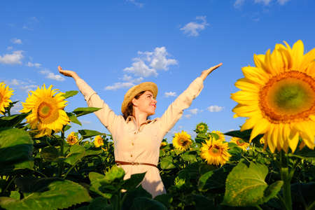smiling woman in straw hat in blooming sunflower field at sunrise with outstretched armsの写真素材