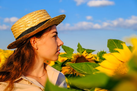 woman profile portrait in straw hat in blooming sunflower field at sunrise.の写真素材