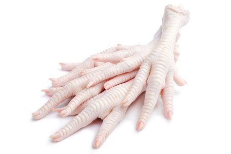Chicken feet isolated on white background. front view, close-upの写真素材