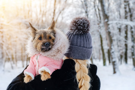 Unrecognized woman holds her dressed dog in her arms in winter outdoors on walk. Girl with back to camera. Pet care concept.の写真素材