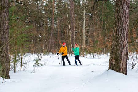 Smiling senior couple walking with nordic walking poles in snowy winter forest. Profile view. Active lifestyle after retirement concept.の写真素材