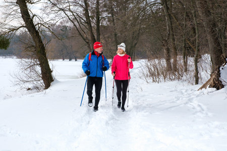 Smiling senior couple walking with nordic walking poles in snowy winter forest. Elderly wife and husband doing healthy exercise outdoors. Active lifestyle after retirement concept.の写真素材