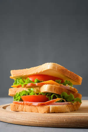 Tasty sandwich with ham, salad, cheese and tomatoes on gray background, selective focus, close-up view, vertical orientation, copy spaceの写真素材