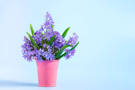 Floral arrangement with spring bouquet from snowdrop flowers standing in a pink bucket on pastel blue background. Copy space for text, minimal spring compositionの写真素材