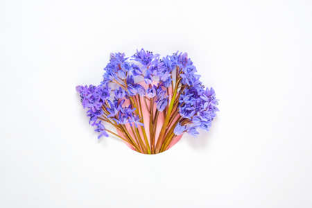 Frame border made with a bouquet of snowdrop flowers placed in a cut hole on a white paper background. Creative minimal spring background concept with copy space for text, top view, flatlay.の写真素材
