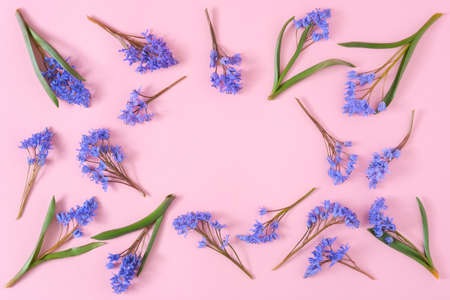 Blank mockup with frame made of snowdrop flowers. Festive floral composition with copy space on pink pastel background. Top view, spring background concept. Creative flowers flat lay.の写真素材