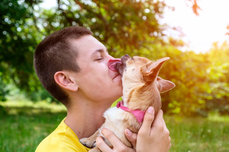 Young caucasian man hugs two dogs Jack Russell and a chihuahua and laughs cheerfully in the summer parkの写真素材