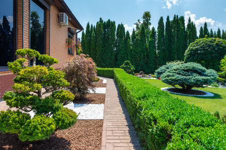 Backyard garden with nicely trimmed bonsai, bushes and stones in front of the European style villa, side view. Landscape design. High quality photoの写真素材