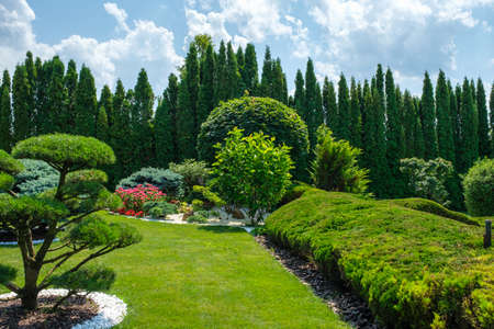 Beautiful backyard garden with nicely trimmed bonsai, bushes and trees. Landscape design. High quality photoの写真素材