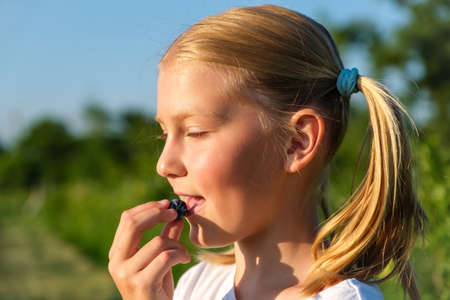 Close up face of farmers young daughter harvests blueberries from a bush and enjoy taste of berry on an organic farm. Family business concept.の写真素材