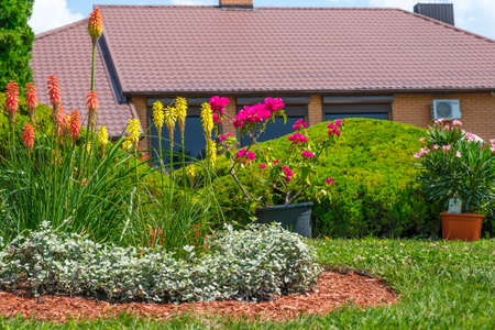 Flowerbed with beautiful blooming flowers against European style house with nicely trimmed bushes on backgroundの写真素材
