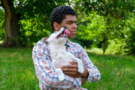 Jack Russell terrier dog sits in the arms of a dark-skinned young man in the park in the summer and funny tries to lick the face of the pet owner. Concept of friendship and love between man and dog.の写真素材