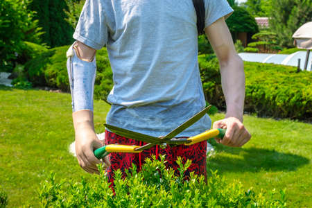 Young caucasian man with an amputated arm and a prosthesis is trimming bushes in a garden in his yard with large hedge shearsの写真素材