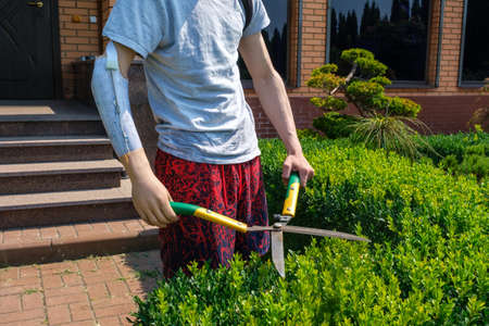 Unrecognized young caucasian man with an amputated arm and a prosthesis is trimming bushes in a garden in his yard with large hedge shearsの写真素材