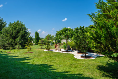 Beautifully trimmed trees and bushes on the lawn in the yard against blue sky on a sunny day. Landscaping, high-quality photosの写真素材