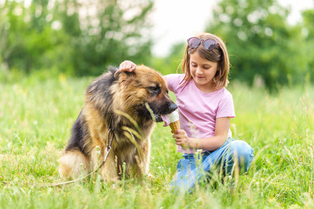 Cute little girl feeding a shepherd dog ice cream while sitting on the grass in the park in summer. High quality photo, blurred backgroundの写真素材