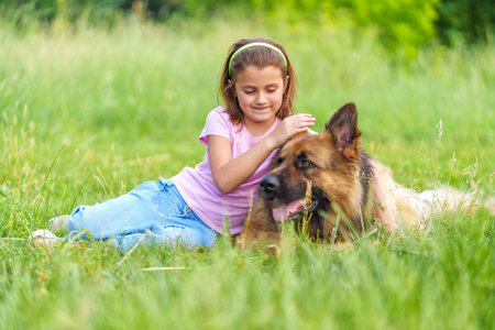 Smiling cute little girl petting shepherd dog sitting in the grass in the park in summer. High quality photo, blurred backgroundの写真素材