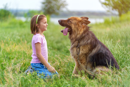 Little girl and a shepherd dog sit on the grass in a meadow and look into each others eyes. High quality photo, blurred backgroundの写真素材