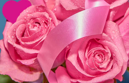 Pink roses with drops of dew on a blue background. The view from the top . The concept of Valentines Dayの写真素材