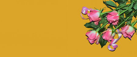 Pink roses on a gold background, flat lay, copy space, banner. Valentines day concept