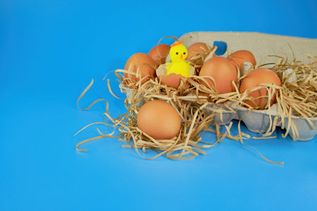 Easter background. Eggs and happy chicken in a basket on a straw on a blue background. Horizontal...