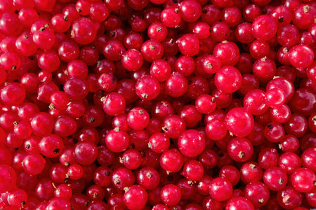 Background of red currant. Close-up, top view. Fruit background. High quality photo