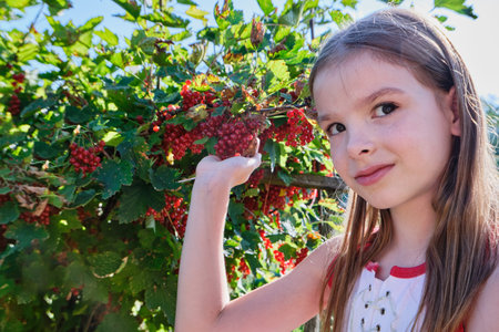 A happy girl, a child holds a red currant in her hand and eats red berry in the garden on a sunny...
