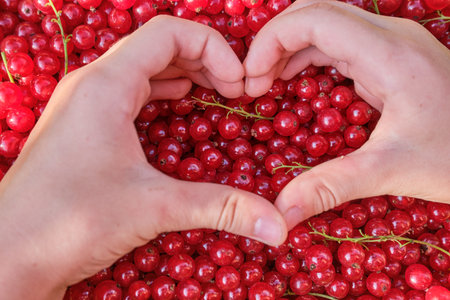 Hands in the form of a heart against the background of red berries, red currants. A symbol of love,...
